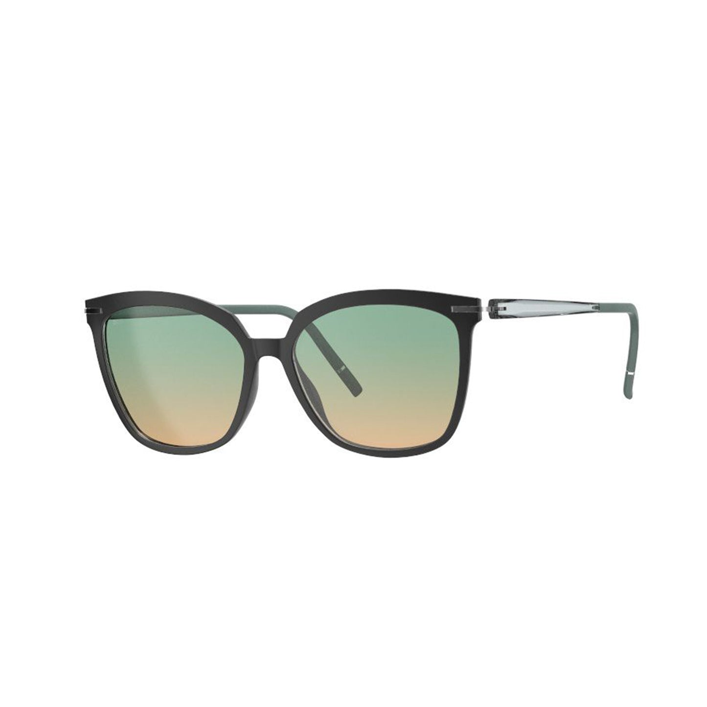 Silhouette - Vibrant Horizon 1623